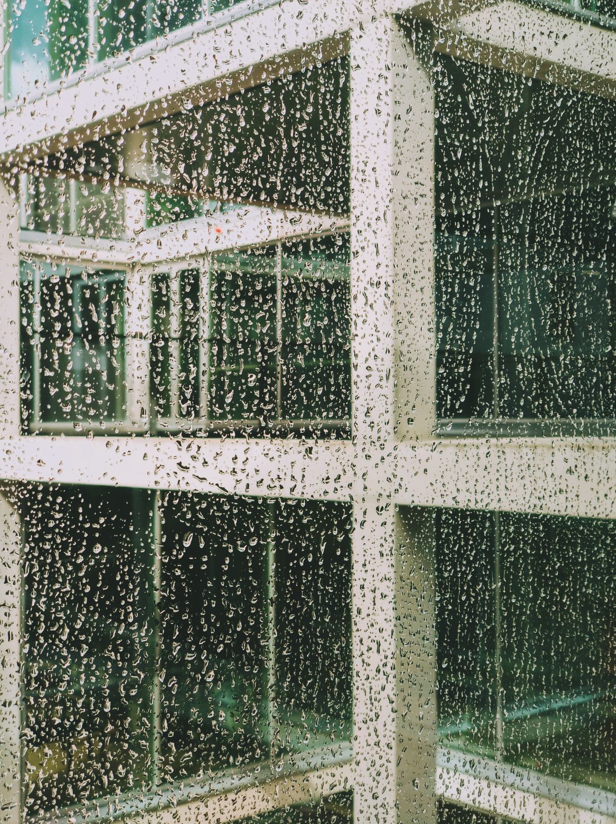 Water droplets covering the inside surface of a window